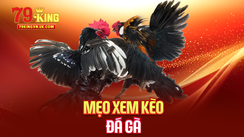 Mẹo Xem Kèo Đá Gà