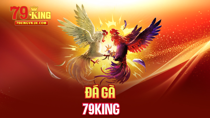 Đá Gà 79King